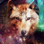 Gray Wolf Puzzle icon