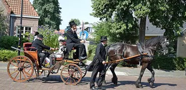 Horse-drawn Vehicle Puzzle