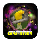 Sonnerie complète canari icône