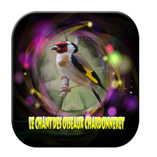 Sonnerie oiseau chardonneret APK for Android Download