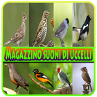 raccolta di suoni di uccelli icône