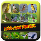 Collection de sons d'oiseaux biểu tượng