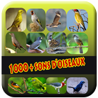 Collection de sons d'oiseaux icône