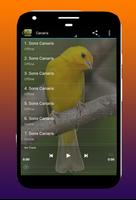 Collection de sons d'oiseaux capture d'écran 2