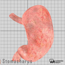 Stomacharus APK