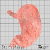 Stomacharus icône