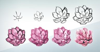 How To Draw Flowers screenshot 3