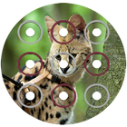 Savannah cat lockscreen icône