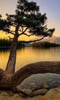 Lake Wallpapers ภาพหน้าจอ 1