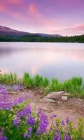 Lake Wallpapers ภาพหน้าจอ 3