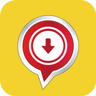 Share & Save Status Pro-icoon