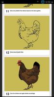 How to Draw Birds-DrawingBirds 截圖 2