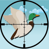 صياد البط الطائر