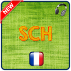 New SCH-2017 icon