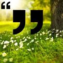 Best Quotes and Status APK