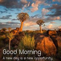 Beautiful Good Morning Nature Images Affiche