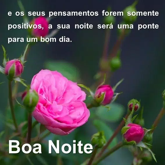 Mensagem de Boa noite com lindas flores APK voor Android Download