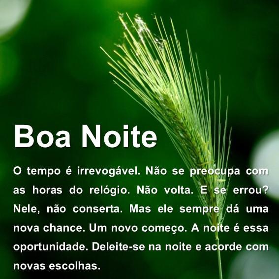 Mensagem De Boa Noite Com Lindas Flores For Android Apk Download Mensagem De Boa Noite Com Lindas Flores For Android Apk Download