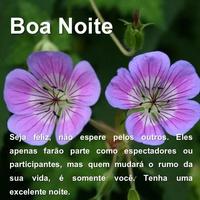 Mensagem de Boa noite com lindas flores capture d'écran 1