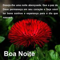 Mensagem de Boa noite com lindas flores Ekran Görüntüsü 2