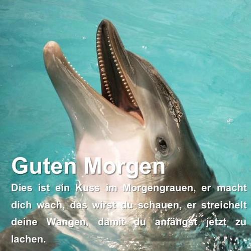 Guten Morgen Spruche Und Grusse For Android Apk Download