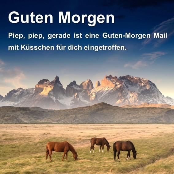 Guten Morgen Sprüche Und Gute Nacht Sprüche For Android Apk Download