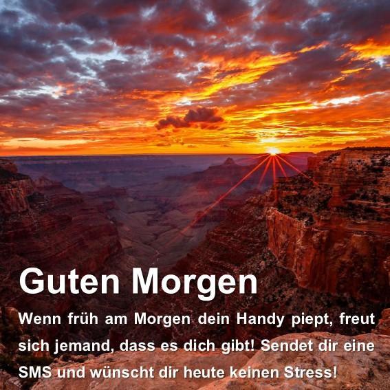 Morgen sms guten schönen Schöne guten