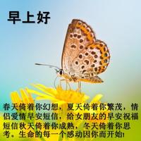 1 Schermata 早上好问候语大全