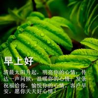 早上好祝福语大全 ảnh chụp màn hình 3