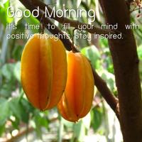 Beautiful Good Morning Images Affiche