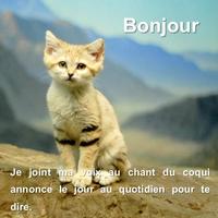 Bonjour & Bonne nuit 海报