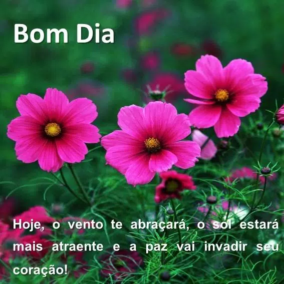 下载Natureza de Bom Dia的安卓版本 下载Natureza de Bom Dia的安卓版本