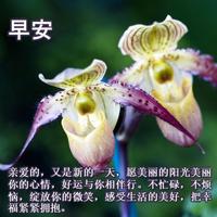 早安你好 gönderen