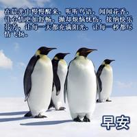 早安你好 Ekran Görüntüsü 1