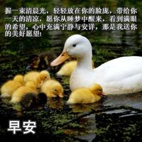 早安你好 Ekran Görüntüsü 3