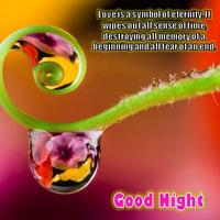 Good Night Love Messages Affiche