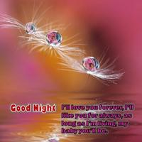 برنامه‌نما Good Night Love Messages عکس از صفحه