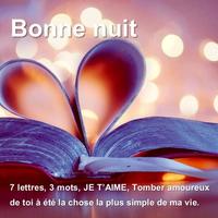 Message bonne nuit mon amour تصوير الشاشة 1