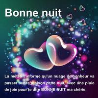 Message bonne nuit mon amour 截圖 2