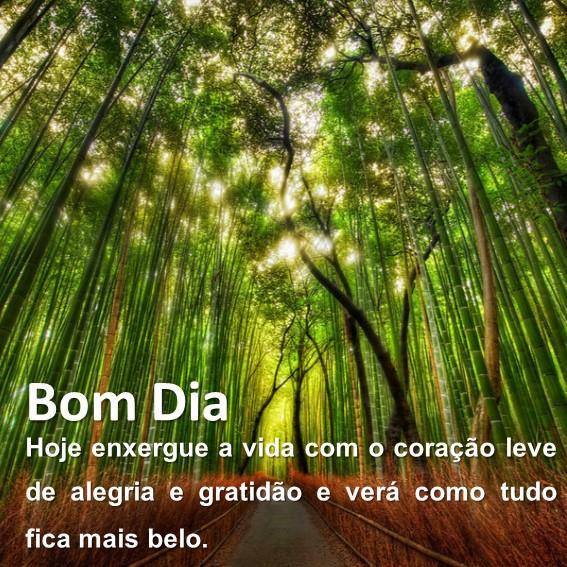 Frases de Bom Dia para Amigos APK per Android Download Frases de Bom Dia para Amigos APK per Android Download