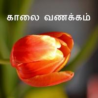 காலை வணக்கம் & இனிய இரவு imagem de tela 1