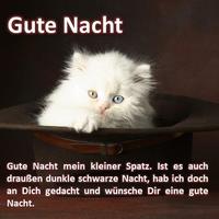 Gute Nacht Sprüche 海報