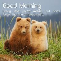 پوستر Good Morning Life Quotes