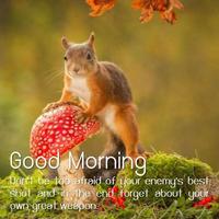برنامه‌نما Good Morning Life Quotes عکس از صفحه