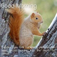 برنامه‌نما Good Morning Life Quotes عکس از صفحه