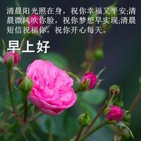 早上好：美丽的花 Affiche