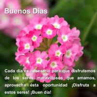 Imágenes De Flores Con Frases De Buenos Días capture d'écran 3