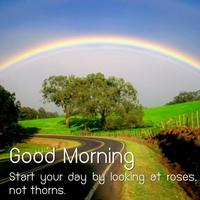 Good Morning Scenery Images Affiche