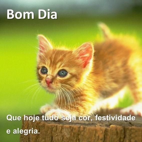 Download do APK de Imagens de Bom Dia para Android Download do APK de Imagens de Bom Dia para Android
