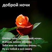 Good Night SMS Messages in Russian โปสเตอร์